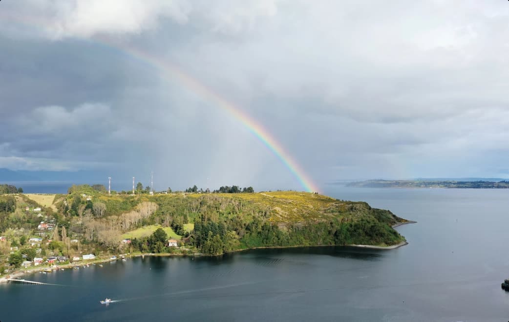 Compromiso ambiental